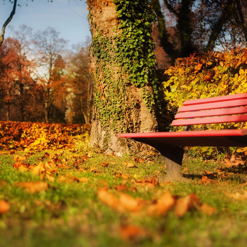 Eine rote Bank in einem herbstlichen Park, ein roter Luftballen fliegt in der Luft Eine rote Bank in einem herbstlichen Park, ein roter Luftballen fliegt in der Luft